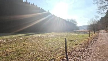 Dokunulmamış doğası olan romantik orman.