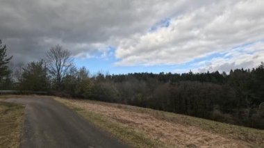 Uzun ağaçlar ve sık ağaçlarla kaplı bir orman. Orada güneş ışığı parlıyor ve ışık yere vuruyor.