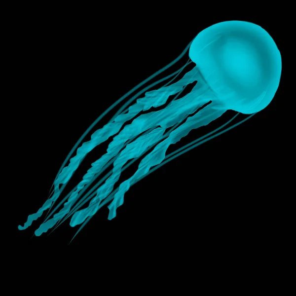 Uma Medusa Fluorescente Num Fundo Preto Isolado Ilustração — Fotografia de Stock