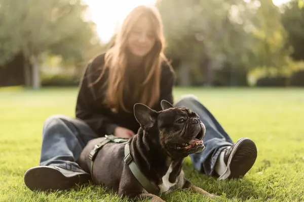 Genç bir kız çimlerin üzerinde Fransız bulldog köpeğine sarılıyor..