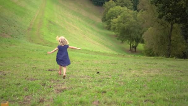 Kleines Weißhaariges Mädchen Spielt Park Und Läuft Barfuß Durch Das — Stockvideo