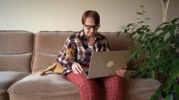 Stara Kobieta Osiemdziesiąt Lat Siedzi Laptopem Pracując Domu Swoim Kotem — Wideo stockowe