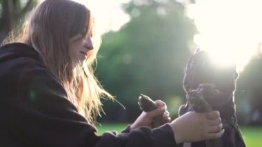 Genç bir kız köpeği ile parkta oynuyor. Çimlerin üzerinde 4K görüntüleri var.