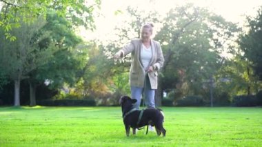 40 'lı yaşlarda bir kadın, köpeği Fransız bulldog' la parkta çimlerin üzerinde oynuyor. 4K görüntülerinde.