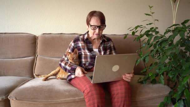 Old Woman Eighty Years Old Sitting Laptop Working Home Her — Stock Video