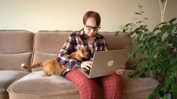 Yaşlı Kadın Yaşında Dizüstü Bilgisayarıyla Evde Kedisiyle Çalışıyor — Stok video