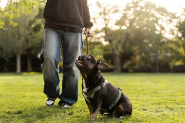 Genç bir kız çimlerin üzerinde Fransız bulldog köpeğine sarılıyor..