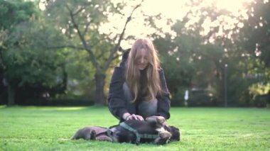 Genç bir kız köpeği ile parkta oynuyor. Çimlerin üzerinde 4K görüntüleri var.