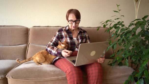 Oude Vrouw Tachtig Jaar Oud Zitten Met Laptop Werken Thuis — Stockvideo