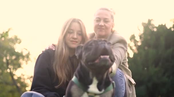 Mamá Hija Juegan Con Perro Bulldog Francés Parque Hierba Metraje — Vídeos de Stock