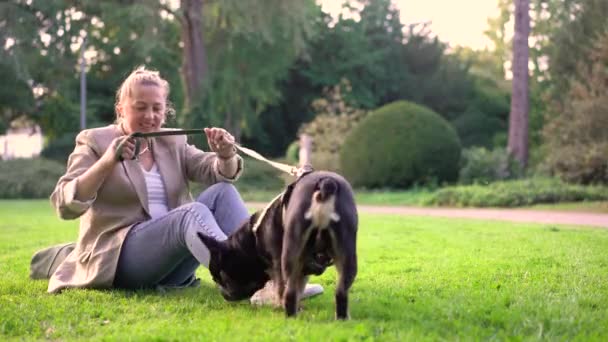 Una Mujer Unos Cuarenta Años Juega Con Perro Bulldog Francés — Vídeos de Stock