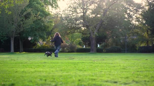 10代の少女が芝生4Kの映像で公園で彼女の犬と遊んでいる — ストック動画