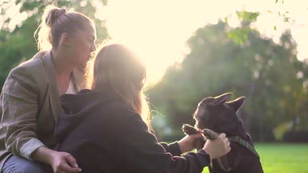 ママと娘は芝生4Kの映像で公園で彼らの犬フランスのブルドッグと遊ぶ — ストック動画
