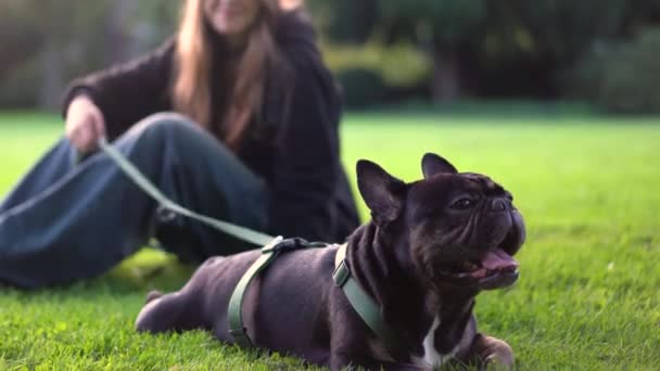 Una Adolescente Juega Con Perro Parque Hierba Metraje — Vídeo de stock