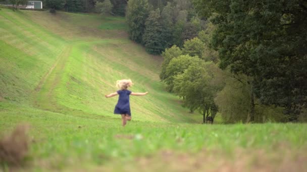 緑の草を通り抜ける公園で遊んでいる小さな白髪の少女 — ストック動画
