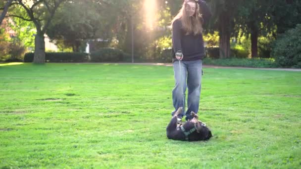 Une Adolescente Joue Avec Son Chien Dans Parc Sur Herbe — Video