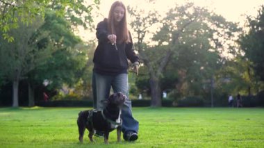 Genç bir kız köpeği ile parkta oynuyor. Çimlerin üzerinde 4K görüntüleri var.
