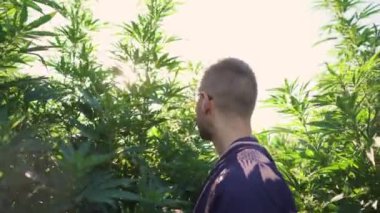 Gülümseyen marihuana çiftliği sahibi sizi selamlıyor.