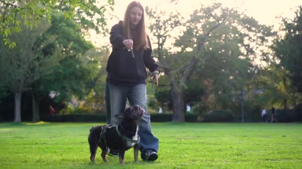 Teenagepige Leger Med Sin Hund Parken Græsset Optagelser – Stock-video