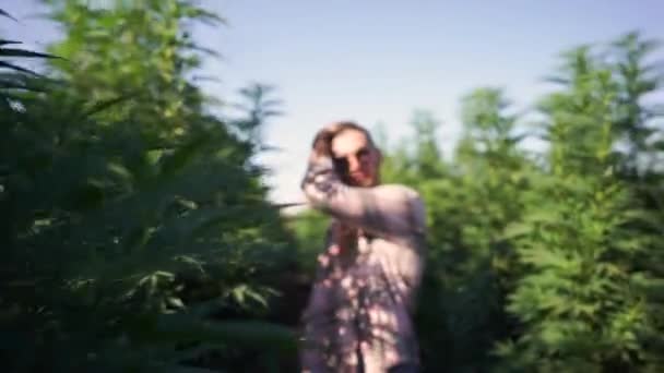 Glimlachende Marihuana Boerderij Eigenaar Heet Welkom — Stockvideo