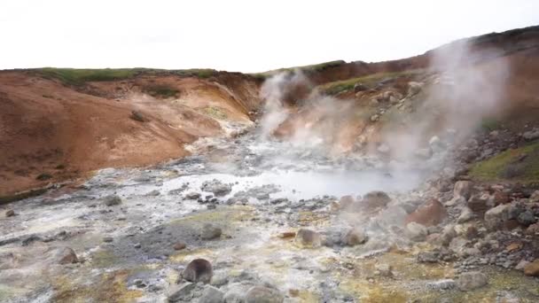 Geothermal Zone Geysers Iceland — Stock Video
