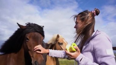 Bir kız gün batımında İzlanda 'da bir çiftlikte at besliyor.
