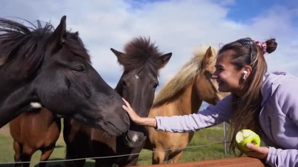 Ein Mädchen Füttert Pferde Auf Einem Bauernhof Island Bei Sonnenuntergang — Stockvideo