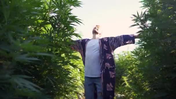 一个人在高大的灌木丛中跑过一片大麻大麻地 — 图库视频影像