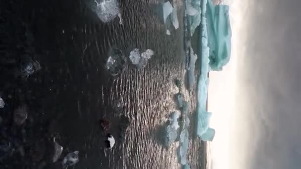 冰岛冰川融化 蓝色冰层的特写 — 图库视频影像