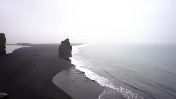 Όμορφη Μαύρη Παραλία Στην Ισλανδία Στη Βροχή — Αρχείο Βίντεο