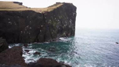 İzlanda 'daki dağların, okyanus dalgalarının ve kuşların manzarası