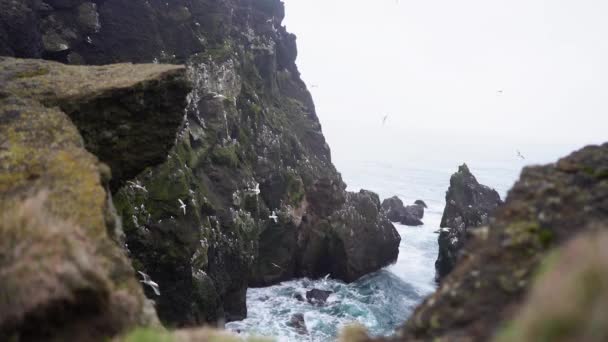 Kilátás Hegyek Óceáni Hullámok Madarak Izlandon — Stock videók