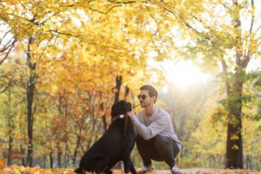 Güneş gözlüklü adam gün batımında sonbahar parkında köpeğine sarılır.