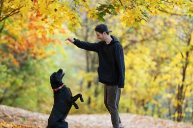 Güneş gözlüklü adam gün batımında sonbahar parkında köpeğine sarılır.