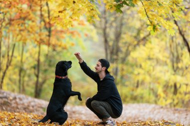 Güneş gözlüklü adam gün batımında sonbahar parkında köpeğine sarılır.