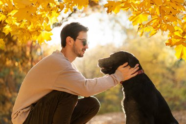 Güneş gözlüklü adam gün batımında sonbahar parkında köpeğine sarılır.