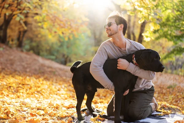 Güneş gözlüklü adam gün batımında sonbahar parkında köpeğine sarılır.