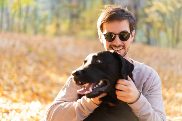 日落时分 戴着太阳镜的男人在秋天的公园拥抱他的狗 图库图片