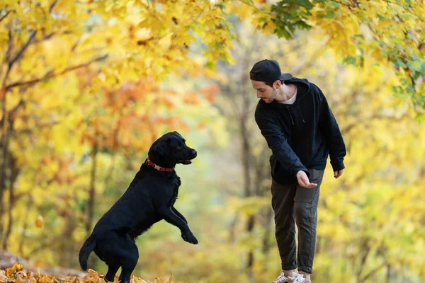サングラスの男は夕暮れに秋の公園で彼の犬を抱きしめる ロイヤリティフリーのストック写真