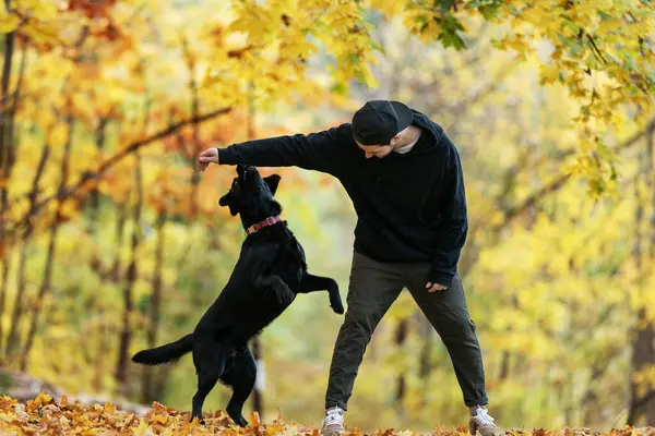 Pria Berkacamata Hitam Memeluk Anjingnya Taman Musim Gugur Saat Matahari Stok Foto