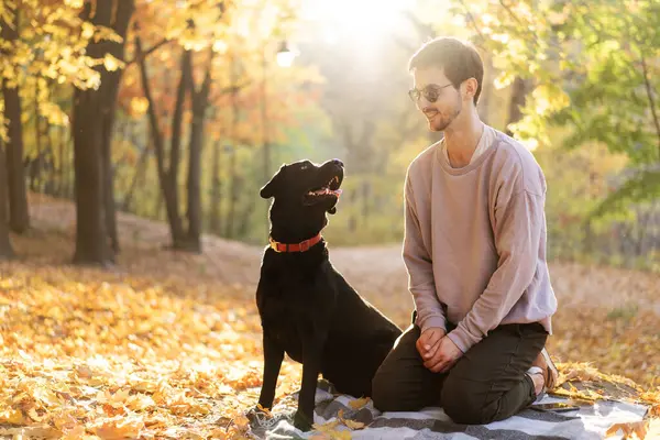 Парень Солнечных Очках Обнимает Свою Собаку Осеннем Парке Закате Стоковая Картинка