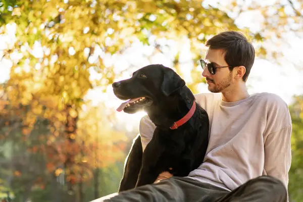Een Man Met Een Zonnebril Knuffelt Zijn Hond Het Herfstpark Stockafbeelding