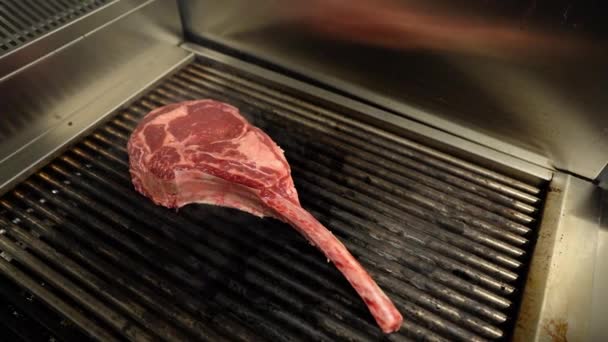 Ağır Çekimde Yanan Kömürlerde Baharatlı Otlu Sulu Bifteği Ateş Duman — Stok video