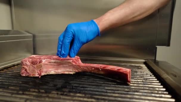 Braten Saftige Fleischsteak Mit Gewürzen Und Kräutern Glühenden Kohlen Feuer — Stockvideo