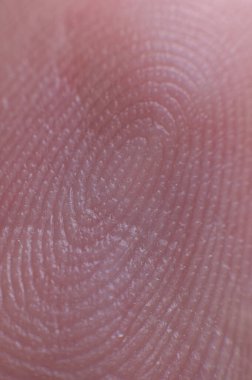 Close-up surface Fingerprint - extreme macro photography. Biometrics and fingerprinting.