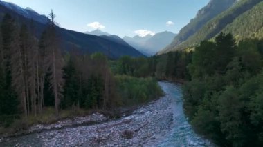 Dağlık bir vadideki kozalaklı ormanlarla çevrili sığ bir dağ nehri üzerinde hava manzaralı uçuş..