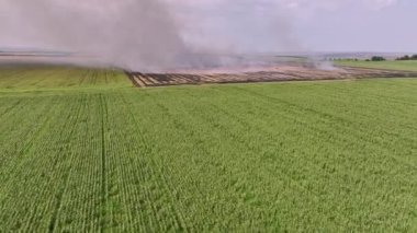 Yanan yeşil bir çayırın üzerinde hava görüntüsü ekime hazır. Yanan otlaklar.