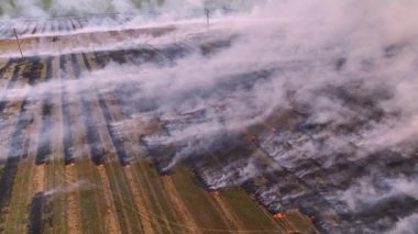 Yanan ve dumanı tüten bir alanda uçan hava aracı. Hava kirliliği krizi iklim değişikliği. Kuru havalarda kurak çimenler yanar. Hava kirliliğinin çevresel sorunu. Hava görünümü