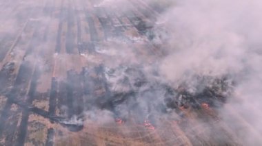 Güneşli bir günde yanan tarlaların destansı görüntüsü. İnsansız hava aracından çekilen tarımsal alanda çıkan bir yangının havadan görüntüsü. Tarlaların üzerinde sigara iç.
