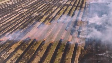 Dumanlı bir yangının destansı hava görüntüsü. Büyük duman ve ateş bulutları yayıldı. Tarımsal alanda kuru çimenler yanıyor.